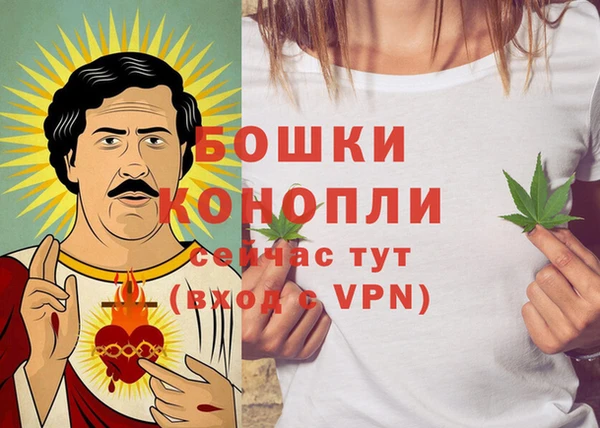 мет Сясьстрой