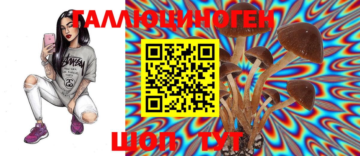 Галлюциногенные грибы Cubensis Гатчина